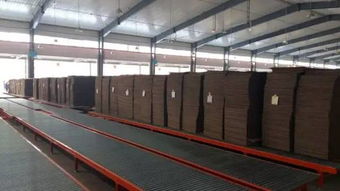 新一代電腦薄刀縱切壓痕機受紙箱廠追捧,業內名企頻點贊