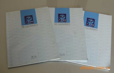 【樣本包裝包袋海報DM說明書設(shè)計、平面設(shè)計、樣本印刷(圖)】價格,廠家,圖片,包裝產(chǎn)品加工,上海萊可企業(yè)策劃設(shè)計-